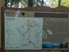 -西湖风景区十里琅珰-五云山