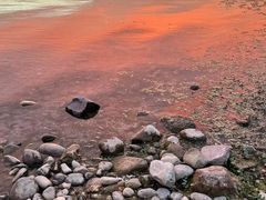 -西昌邛海湿地