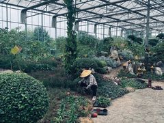 -南通洲际绿博园