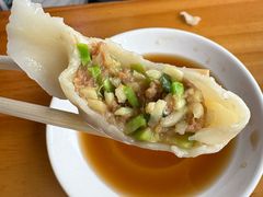 -启子大馅饺子