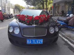 -蚂蚁婚车