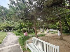 -双榆树公园