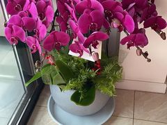 -亭亭鲜花店(中山北路店)