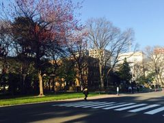 -北海道厅旧本厅舍(旧本庁舎)