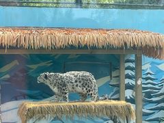 -青藏高原野生动物园