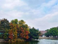 -荔湾湖公园