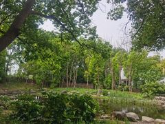 -同里国家湿地公园