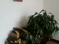 android_upload_pic-姥家大锅台水库渔家