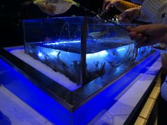 -V-ONE西雅图海鲜自助餐厅(仓山万达广场店)