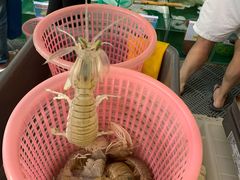 -琼大师东方烤乳猪(亚特兰蒂斯店)