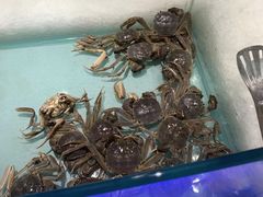 -和谐号海鲜烤肉火锅自助餐厅(车城万达店)
