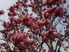 -北京园博大酒店