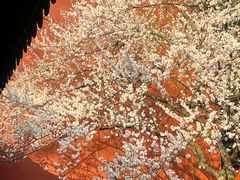 -钱王祠