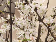 -上海虹桥宾馆味翠餐厅