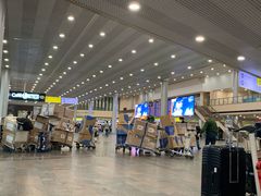 -谢列梅捷沃国际机场