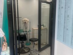 -博特宠物医院24h犬猫全科.骨科·异宠