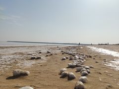 -天津东疆湾沙滩景区