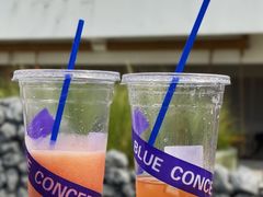 -Blue Concept Cafe&Farm·關於藍
