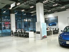 -TESLA 特斯拉(深圳观澜特斯拉直营钣喷中心)