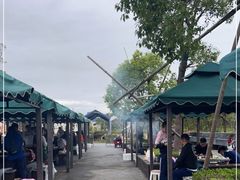 -春花秋色城市公园