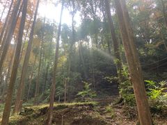 -凤栖山