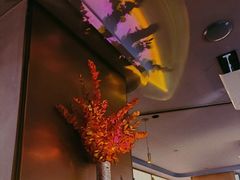 -北京老铺烤鸭(高新店)