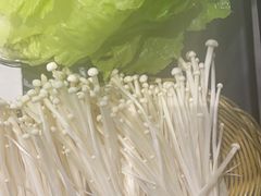 -采椰郎椰子鸡·脆皮鸡火锅(融创茂店)