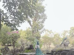 -云南勐巴娜西珍奇园