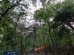 -榴花公园
