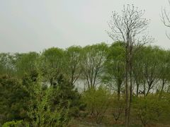 -永定河休闲森林公园