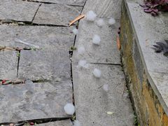 -高荡千年布依古寨旅游景区