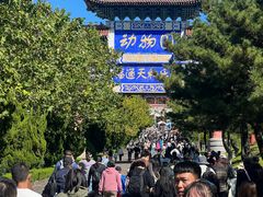 -西霞口神雕山野生动物世界