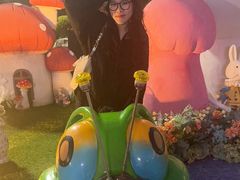 -厦门方特梦幻王国