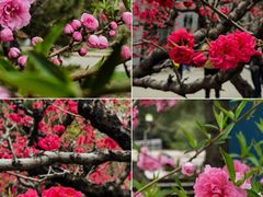 -朝阳公园