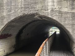 -白水寺森林公园