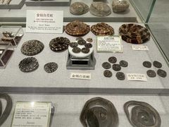 -北京中医药大学-中医药博物馆