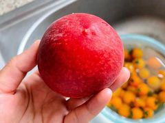 -上海龙吴水胜海发市场