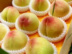 -老袁家蜜桃农场·阳山水蜜桃