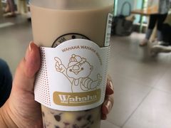 -娃哈哈·奶茶(武林店)