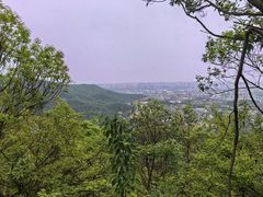 -桃花岭景区