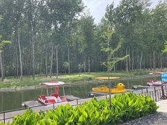 -合肥滨湖国家森林公园