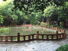 望江楼公园-望江楼公园