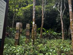 -三亚亚龙湾人间天堂鸟巢度假村