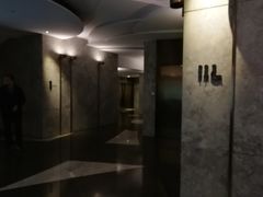 -百美汇影城(LUXE嘉里中心店)