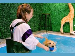 -Goku PET SHOP宠物视觉生活馆(双井店)