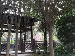 -西安青龙寺遗址景区