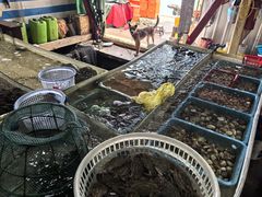 -罗源湾8号渔排