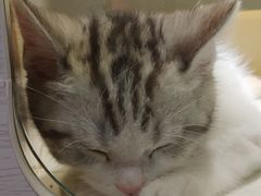 -乐宠宠物店(世纪金源店)