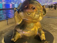 -星光大道
