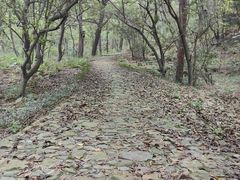 -虞山风景区